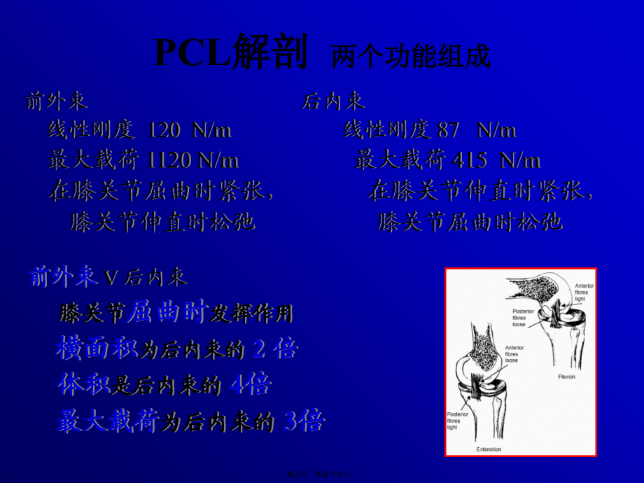 关节镜下的后交叉韧带重建术.pptx_第3页