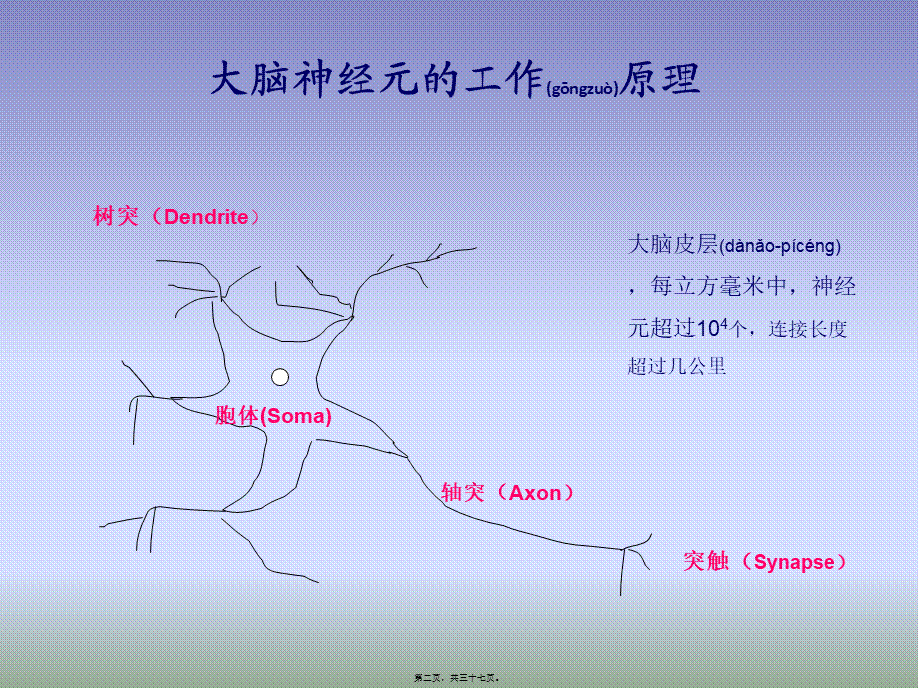 2022年医学专题—人工神经元模型介绍.ppt_第2页