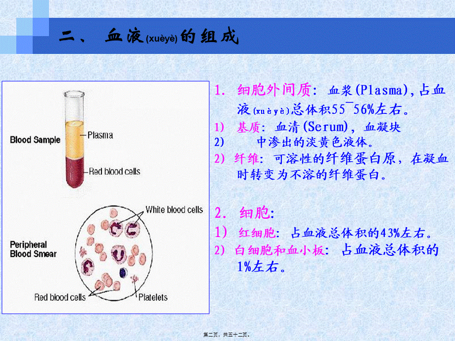 2022年医学专题—第五章、血液(1).ppt_第2页