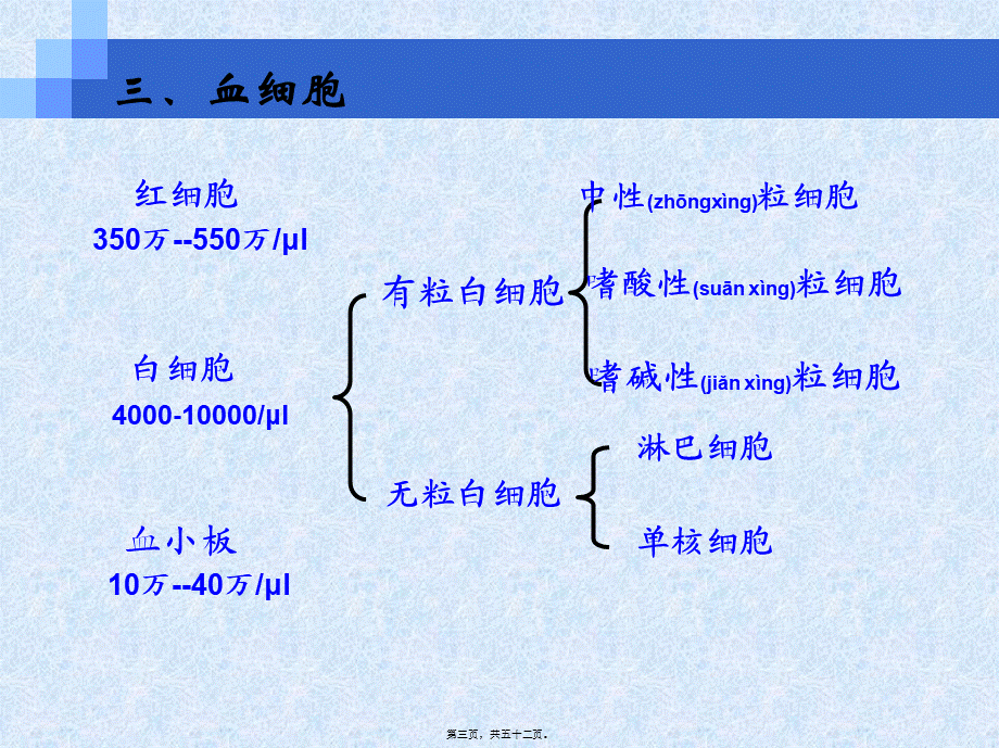 2022年医学专题—第五章、血液(1).ppt_第3页