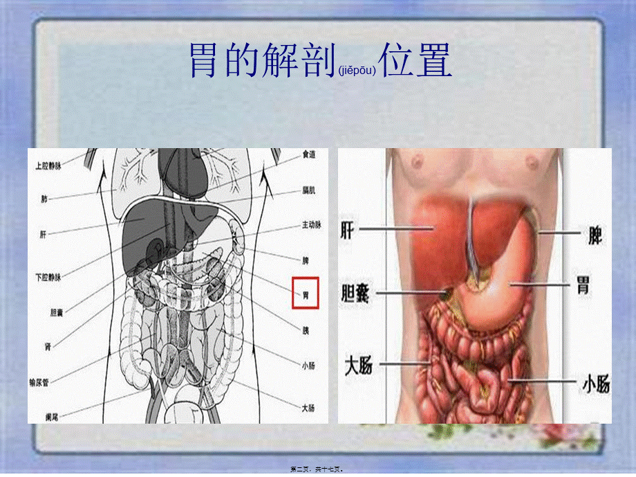 2022年医学专题—胃癌常见手术方式(1).ppt_第2页