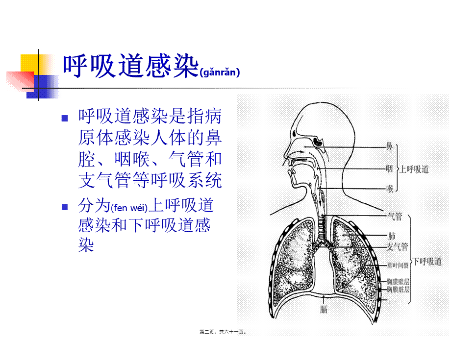 2022年医学专题—呼吸道病原体检测(1).ppt_第2页