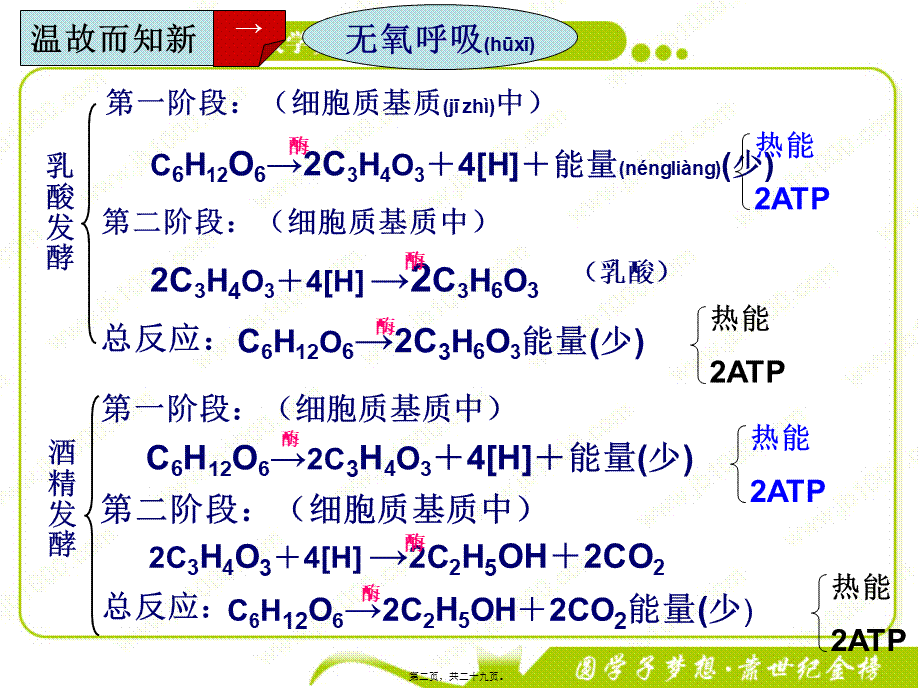 2022年医学专题—影响细胞呼吸的因素讲课.ppt_第2页