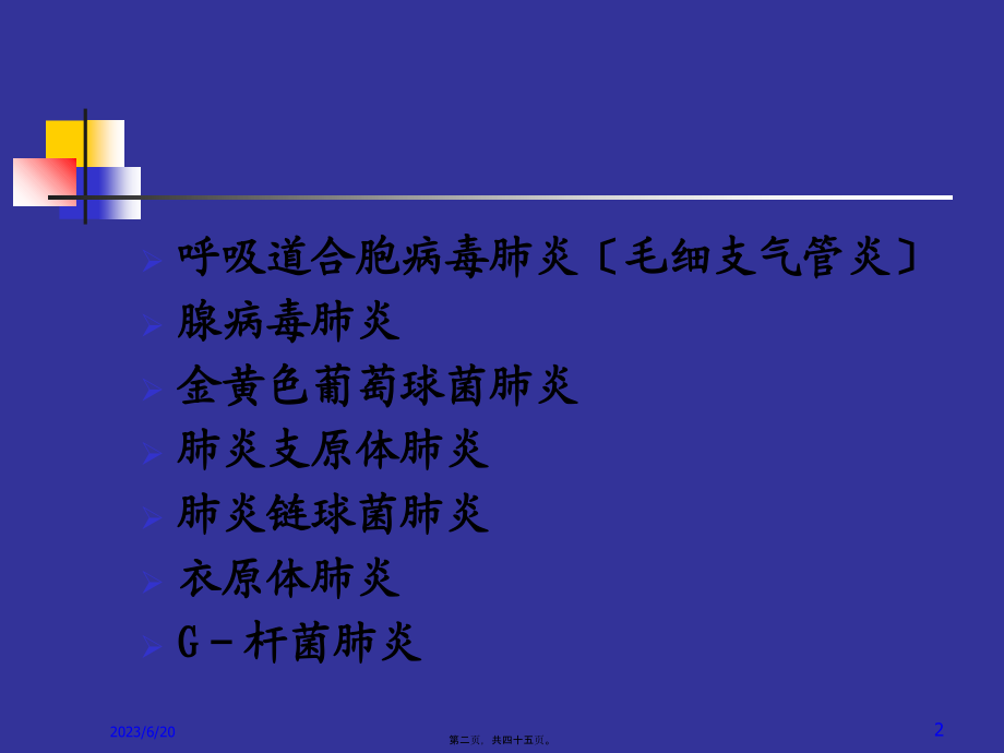 几种不同病原肺炎新模板.pptx_第2页