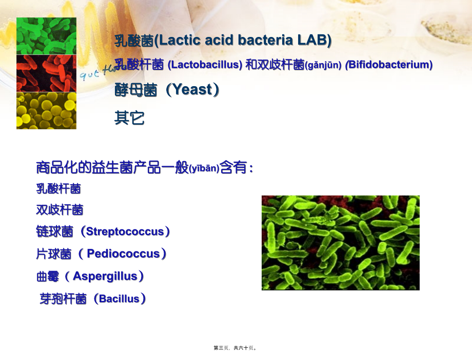 2022年医学专题—益生菌与人体健康.ppt_第3页