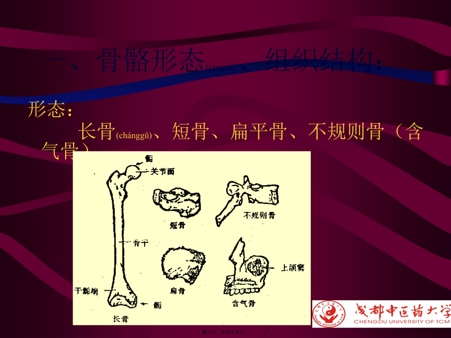 2022年医学专题—化脓性骨性髓炎-1.ppt_第2页