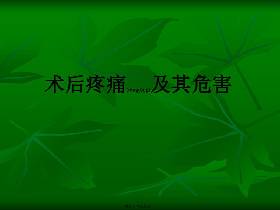 2022年医学专题—围术期镇痛面面观.ppt_第3页