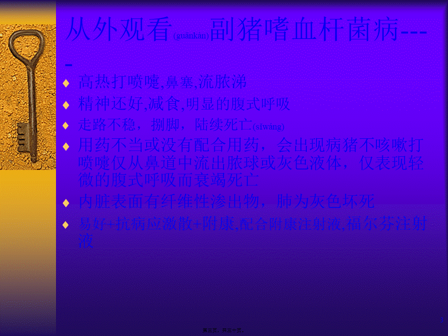 2022年医学专题—从外观看猪病诊治(1).ppt_第3页