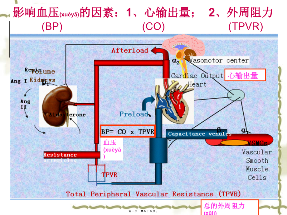 2022年医学专题—第25篇-抗高血压药(1).ppt_第3页