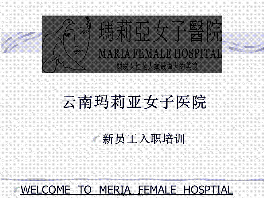 云南玛莉亚女子医院.pptx_第2页