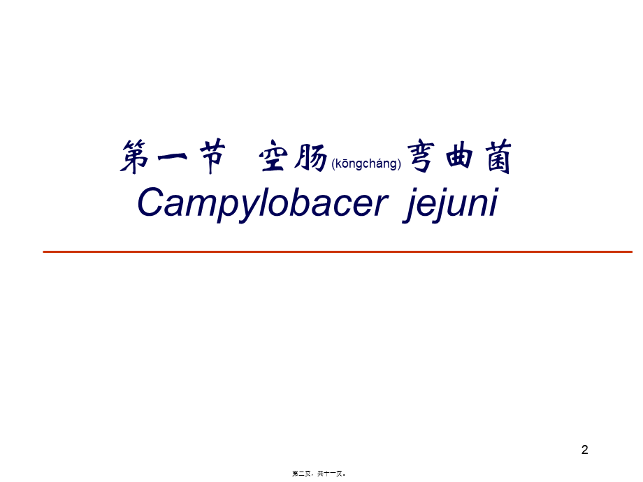 2022年医学专题—空肠弯曲菌及幽门螺杆菌(1).ppt_第2页