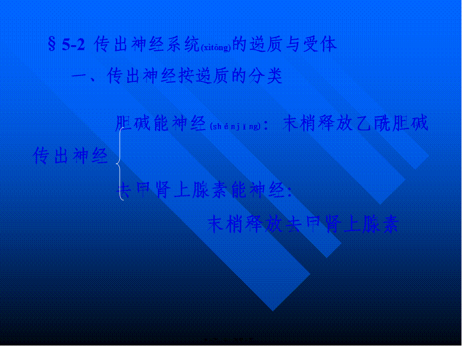 2022年医学专题—外周神经系统药理(1).ppt_第3页