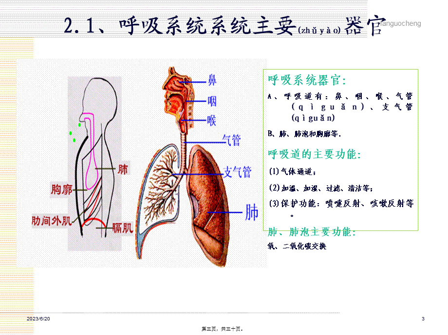 2022年医学专题—人体与亚健康(共10节-第2节-呼吸与健康)(1).ppt_第3页