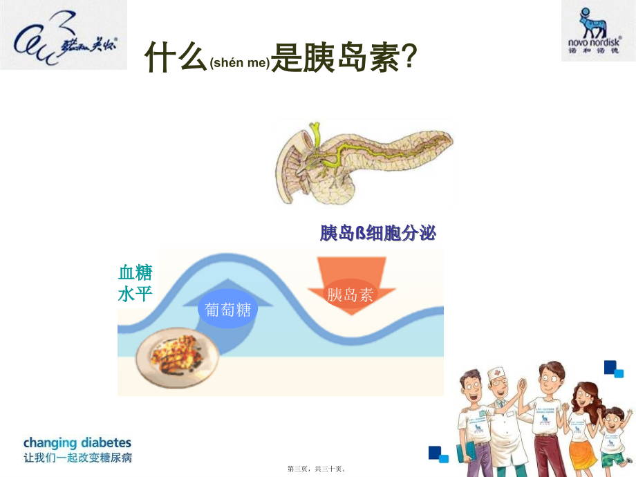 2022年医学专题—患教3-我的好帮手胰岛素.ppt_第3页