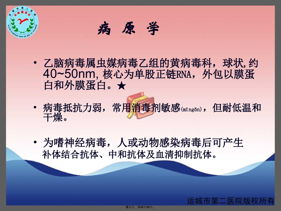 2022年医学专题—流行性乙型脑炎-运城传染病医院-卫志干研究.ppt_第3页