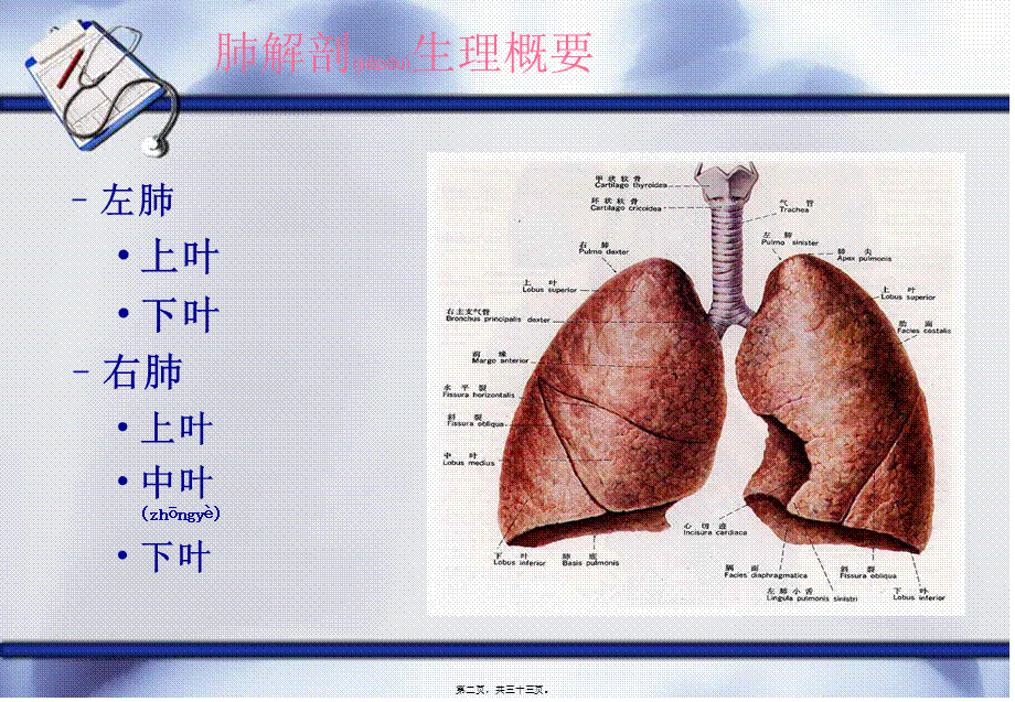 2022年医学专题—教学查房(肺癌)(1).ppt_第2页