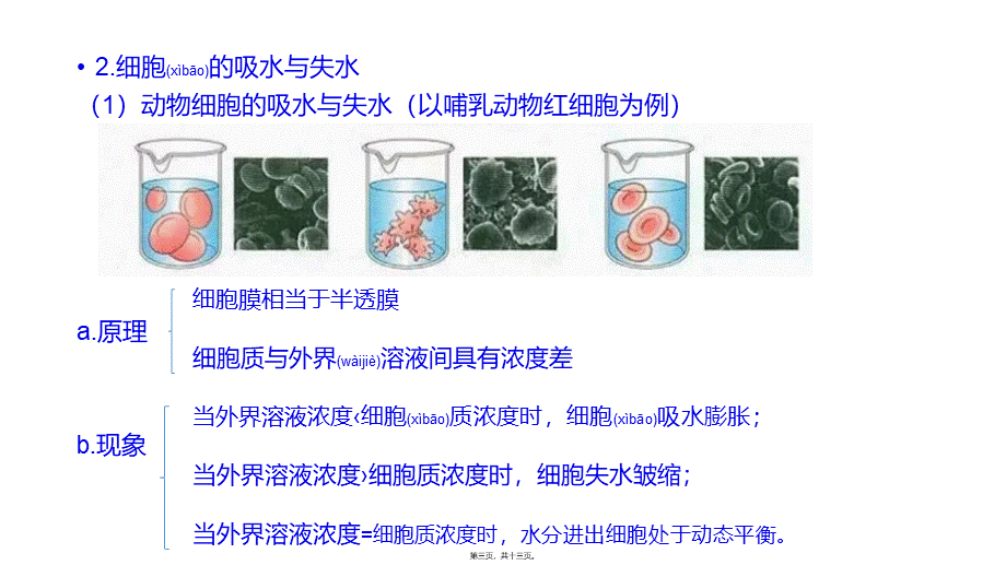 2022年医学专题—第7讲-细胞的物质输入与输出(1).pptx_第3页