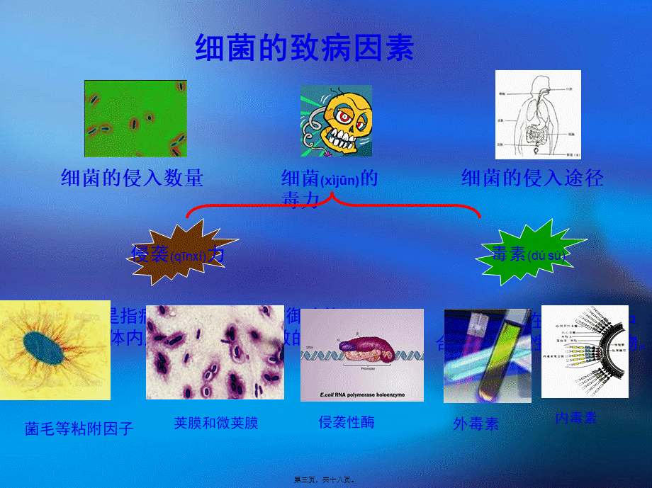 2022年医学专题—第6章--细菌的致病性与感染(1).ppt_第3页