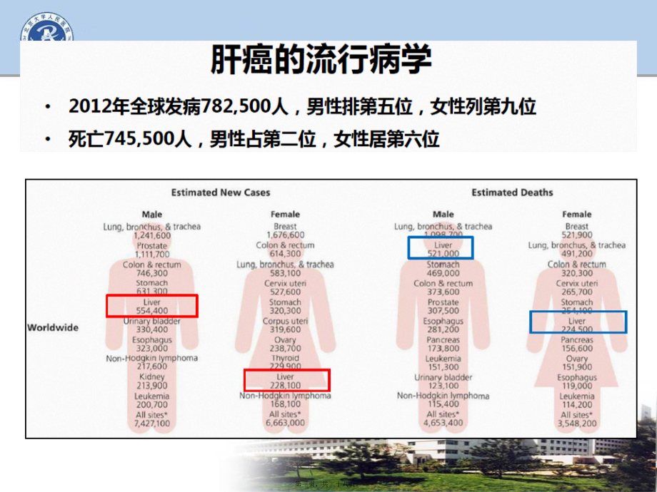 2022年医学专题—肝癌的流行病学和发病风险.pptx_第3页