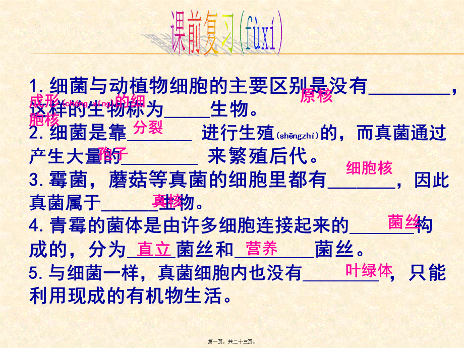 2022年医学专题—第一节-细菌和真菌在自然界中的作用新(1).ppt_第1页