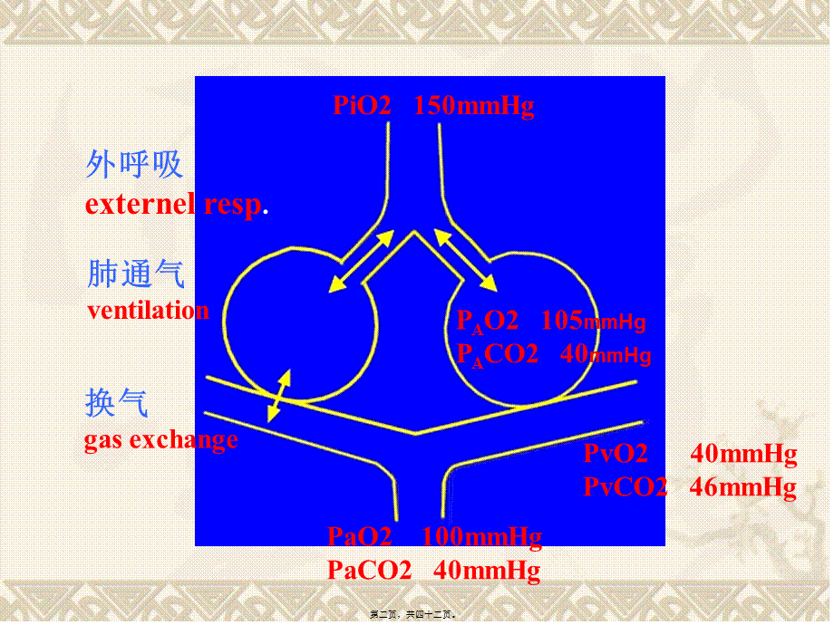 呼吸衰竭respiratoryfailure一、概述定义：外呼吸(2).pptx_第2页