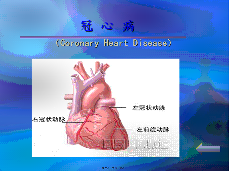 2022年医学专题—心绞痛与急性心肌梗塞(1).ppt_第2页