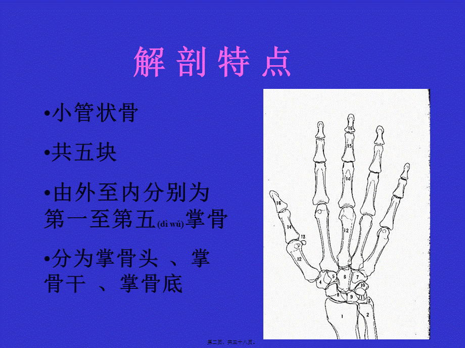 2022年医学专题—掌骨骨折(1).ppt_第2页