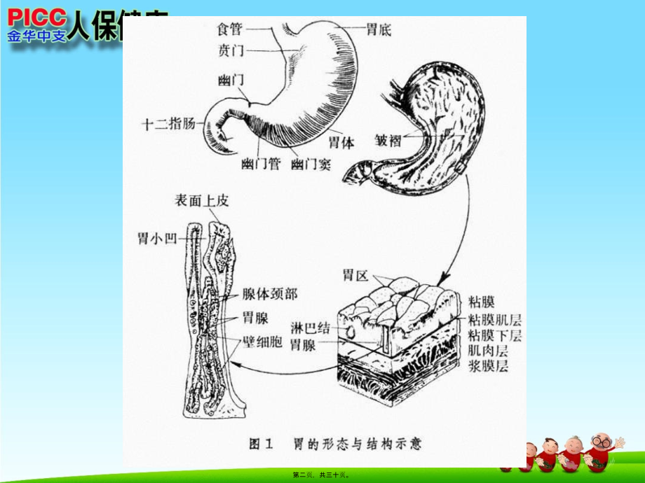 2022年医学专题—日常胃病三大元凶.ppt_第2页