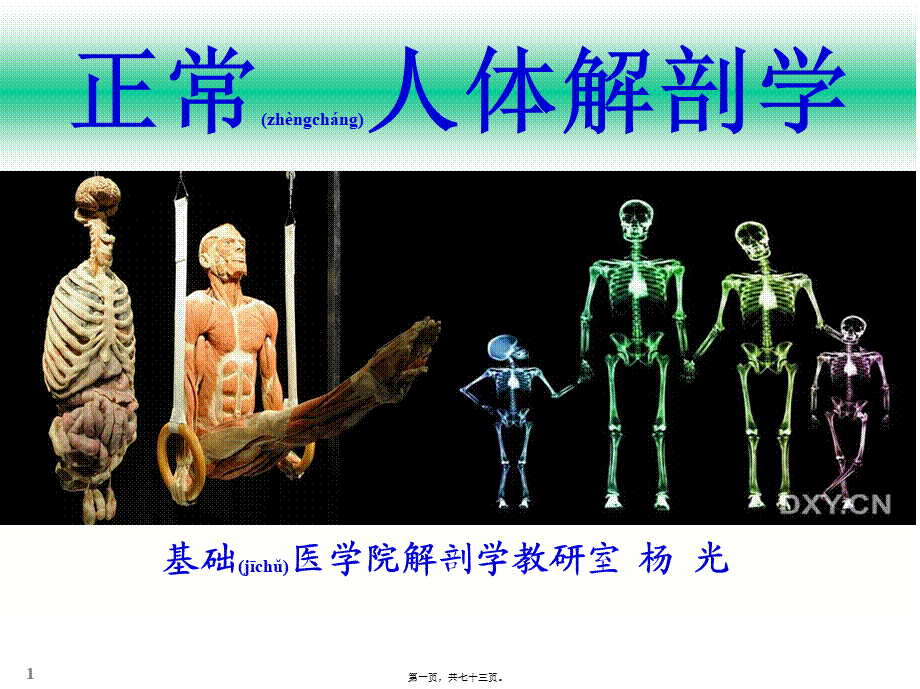 2022年医学专题—chapter01骨学(1).ppt_第1页