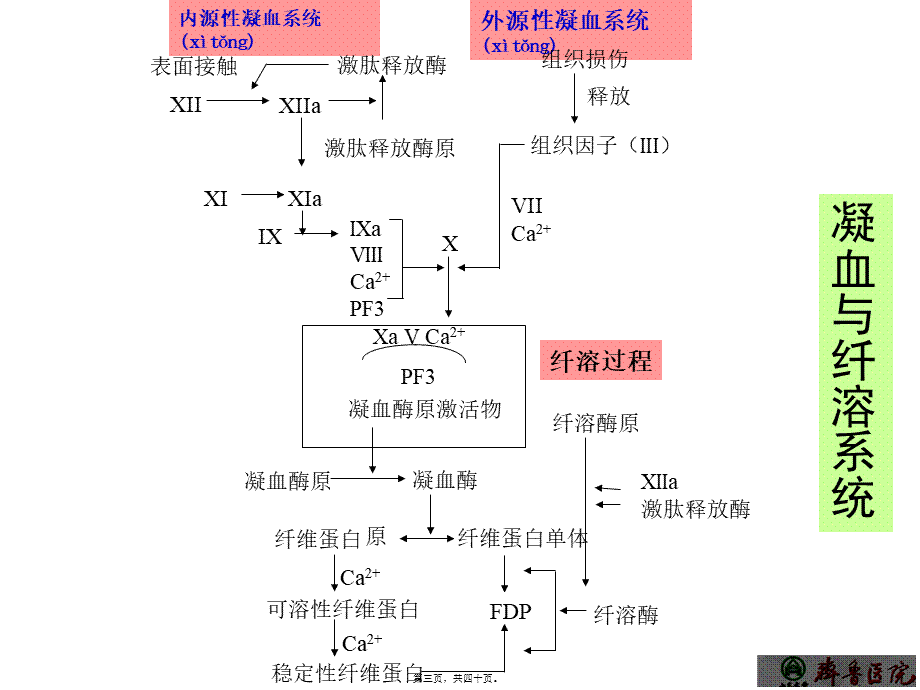 2022年医学专题—儿童获得性凝血障碍1(1).ppt_第3页