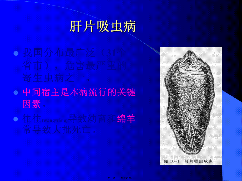 2022年医学专题—牛羊病寄生虫病1(1).ppt_第3页