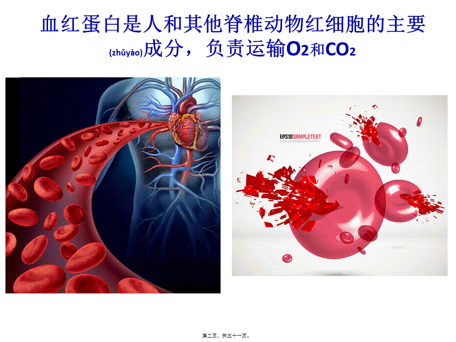 2022年医学专题—上课：课题3--血红蛋白的提取和分离.pptx_第2页