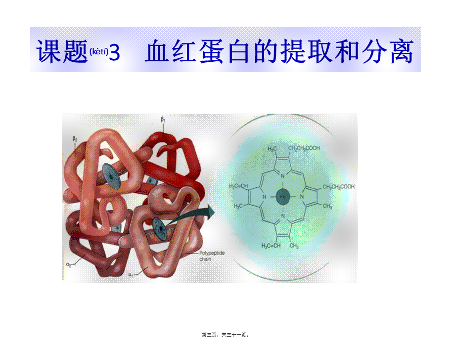 2022年医学专题—上课：课题3--血红蛋白的提取和分离.pptx_第3页