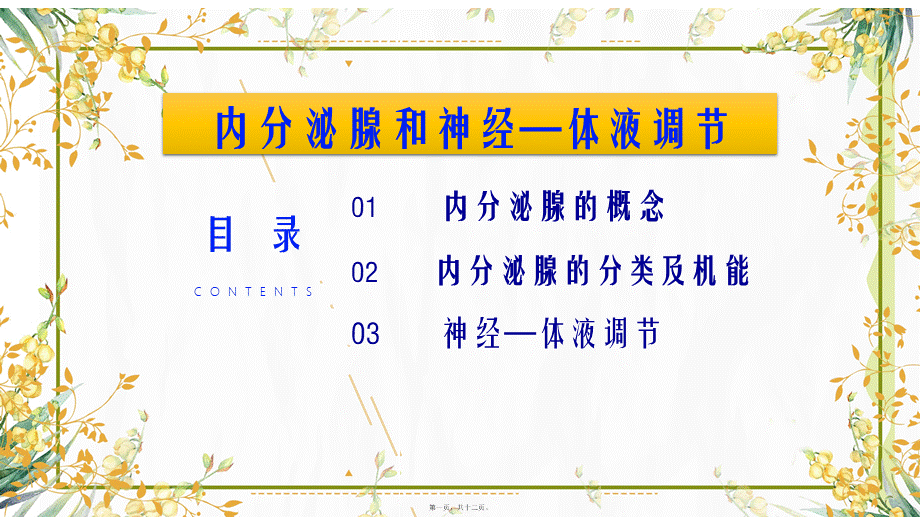 内分泌系统.ppt_第1页