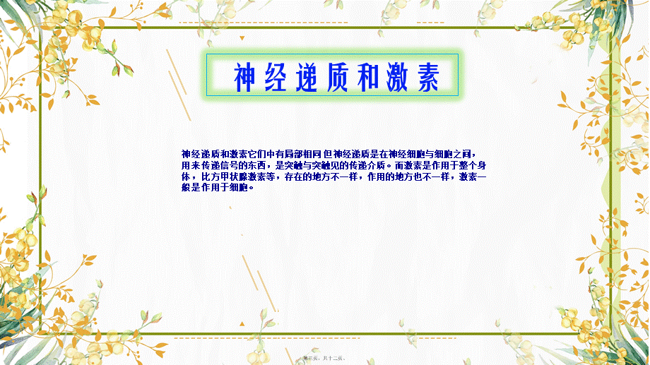 内分泌系统.ppt_第3页