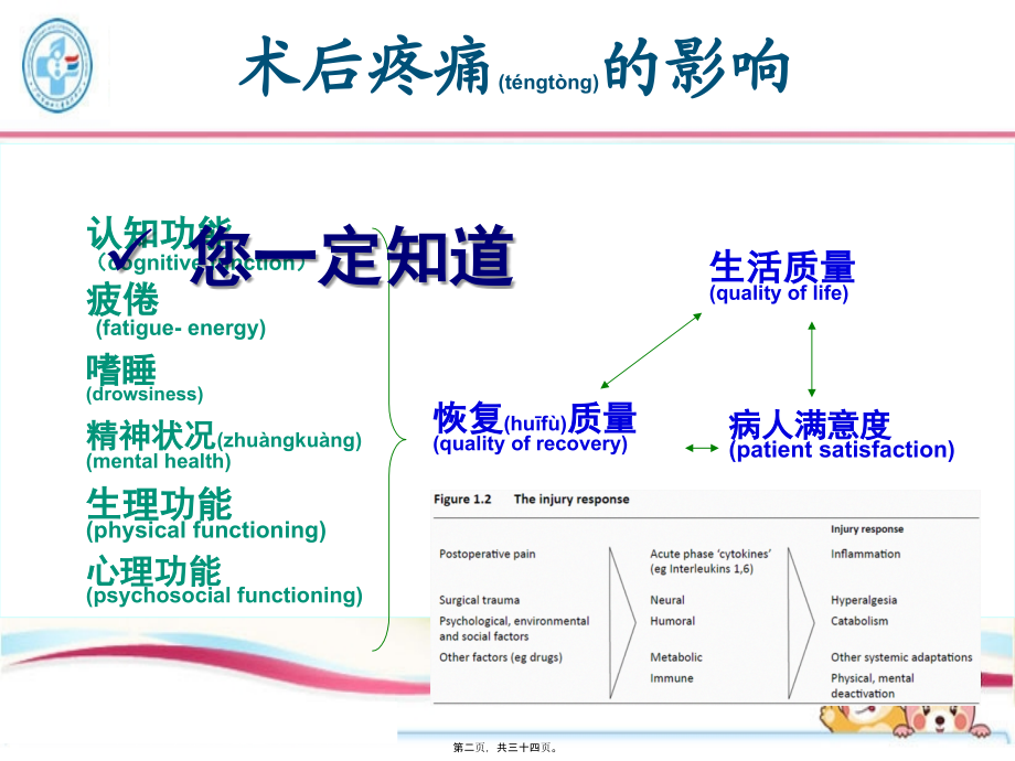 2022年医学专题—小儿术后镇痛个人体会-附病例分析(黄俊祥).ppt_第2页