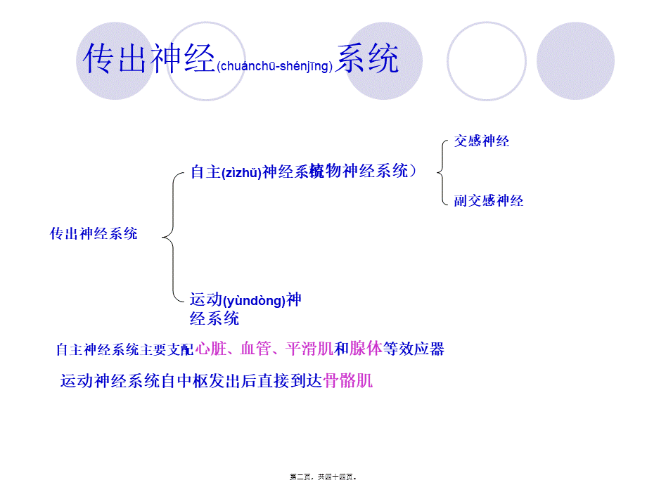 2022年医学专题—传出神经系统药理-图文(1).ppt_第2页