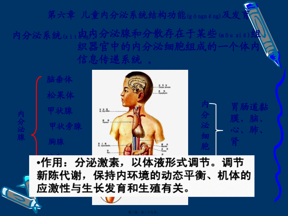 2022年医学专题—第七章-内分泌系统结构和功能.ppt_第3页