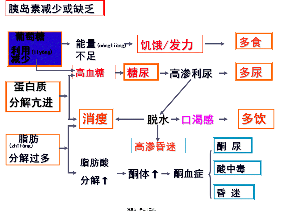 2022年医学专题—第三十七章-胰岛素与口服降血糖药(1).pptx_第3页