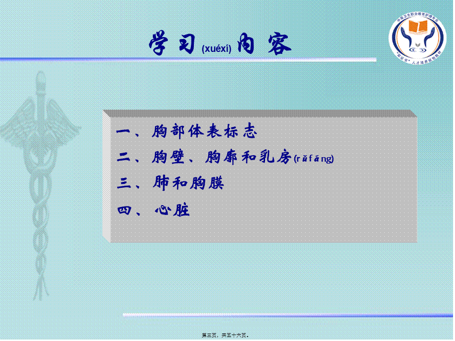 2022年医学专题—健康评估定稿第五章第5节胸部评估(1).ppt_第3页