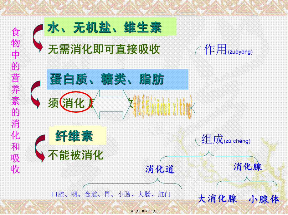 2022年医学专题—济南出版社---消化与吸收-(1)(1).ppt_第3页