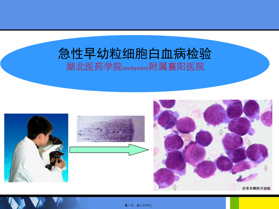 2022年医学专题—急性早幼粒细胞白血病的检验.ppt_第1页