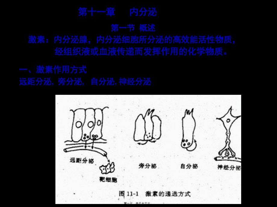 促甲状腺激素释放激素.pptx_第1页