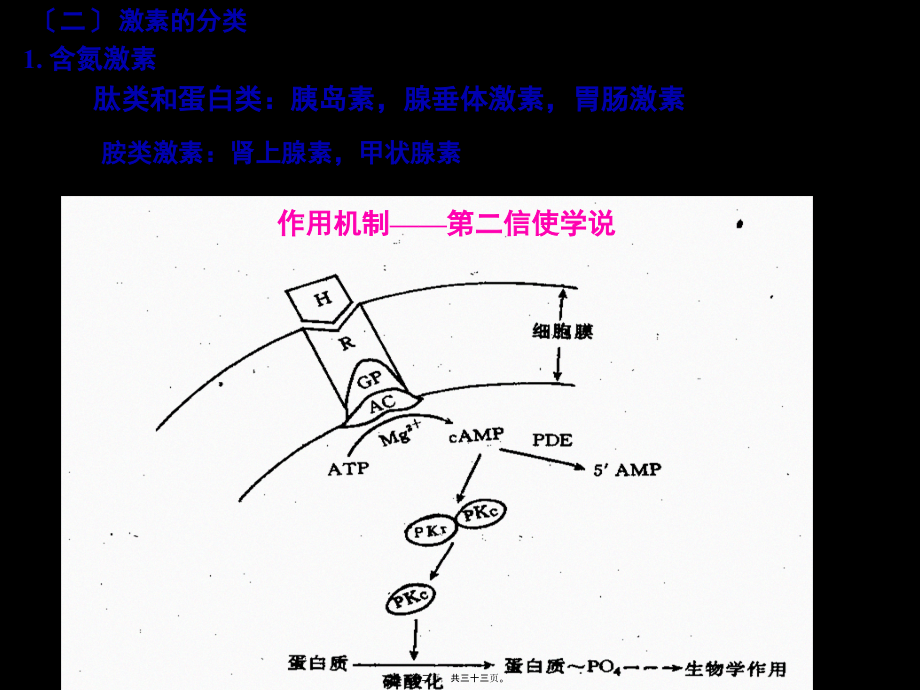 促甲状腺激素释放激素.pptx_第2页