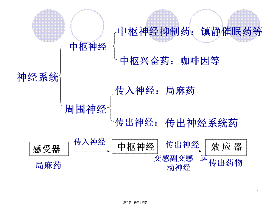 传出神经系统药讲义.pptx_第2页