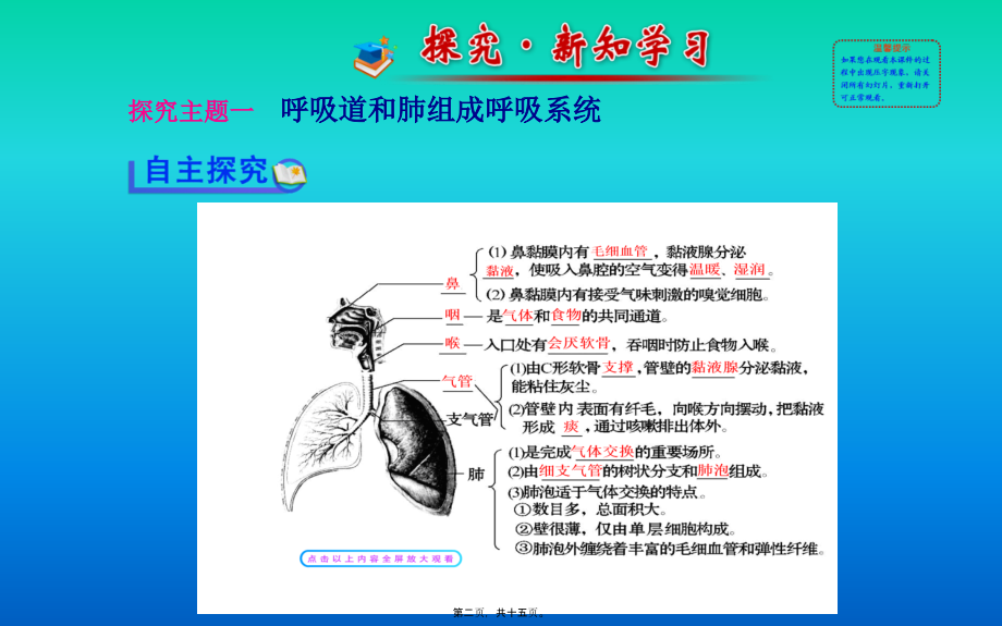 人体细胞获得氧气的过程.pptx_第2页