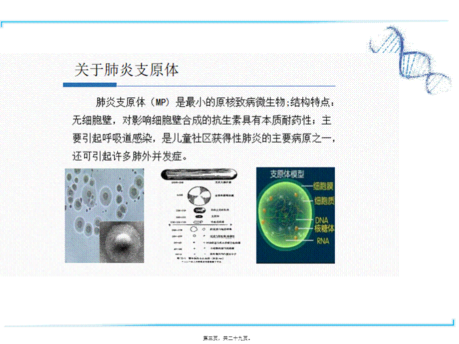 2022年医学专题—肺炎支原体及耐药位点核酸检测(1).pptx_第3页