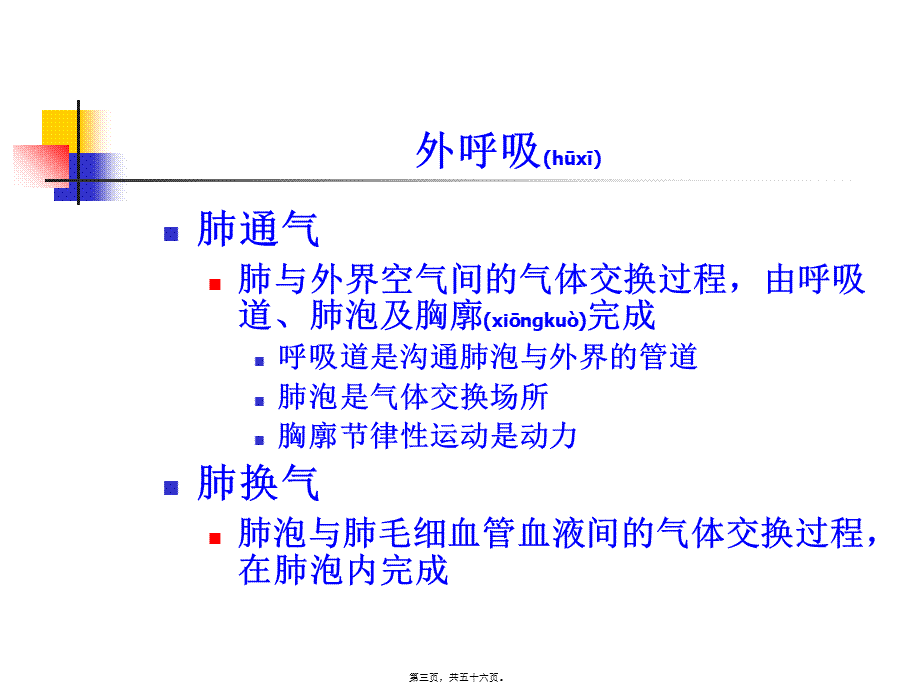 2022年医学专题—呼吸功能评估概要(1).ppt_第3页