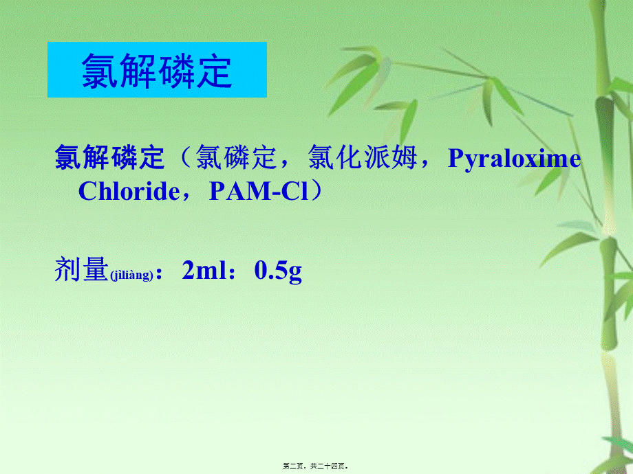 2022年医学专题—氯解磷定和阿托品的药理作用(1).ppt_第2页