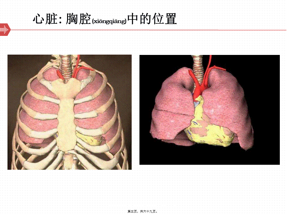 2022年医学专题—冠状动脉粥样硬化性心脏病基础知识(1).ppt_第3页